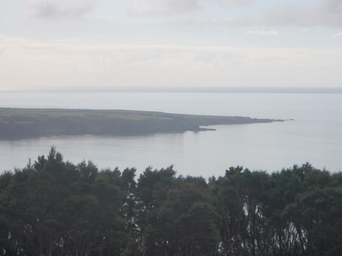 Nga Puriri Bed And Breakfast Hicks Bay 外观 照片